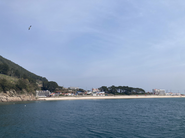 선유봉을 올랐다가 외항선착장에서 통영으로 출발했다. 갈매기 한 마리가 오래 따라왔다.