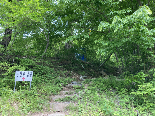 등산로 입구 이정표를 따라 오른다. 첫 갈림길에서 우측을 선택해야 편하다.