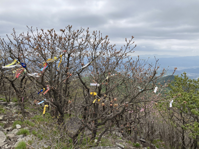 고헌산 정상에 휘날리는 다녀간 이의 흔적들.