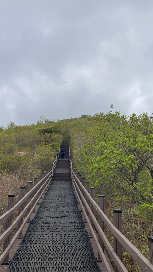 하늘정원길이라 이름 붙은 덱 길.