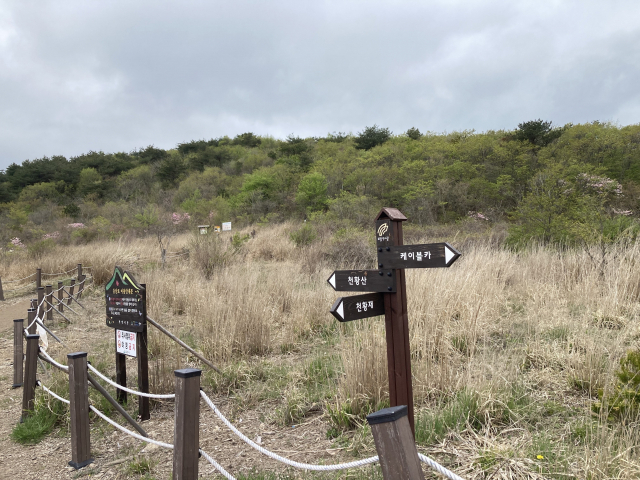 샘물산장 입구에 있는 이정표 천황산 방면으로 오른다.