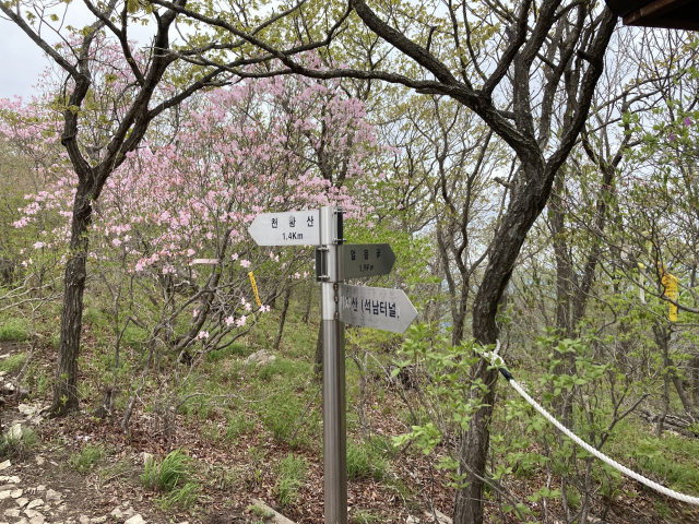 천황산 1.4km가 남은 지점에 얼음골로 내려서는 이정표가 있다 케이블카가 아니라면 이 길로 올라도 된다.