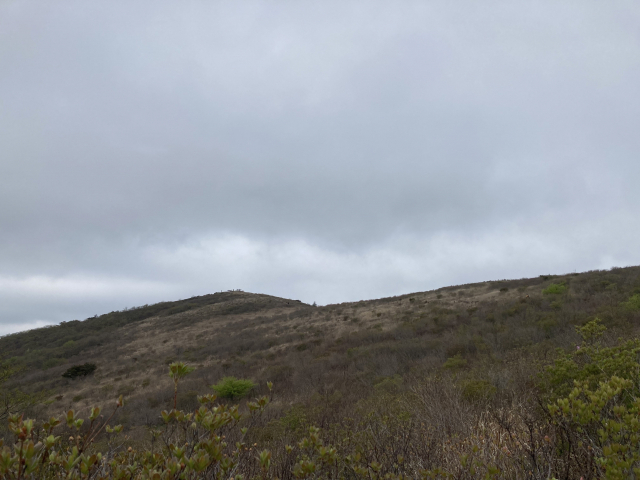 산행 내내 비 걱정을 했다. 천황산 정상에 다가갈수록 나무들의 키가 낮아진다. 산정 부근에 먹구름이 드리웠다.