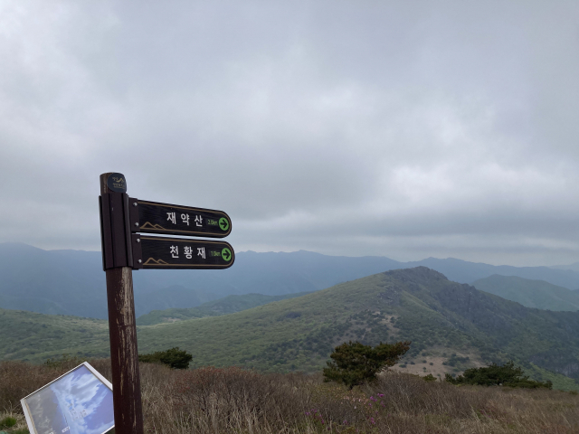 재약산까지는 2km가 남았다. 내리막과 오르막이 각각 절반씩이다.