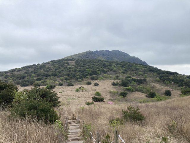 천황산에서 천황재로 내려서면서 바라본 재약산.