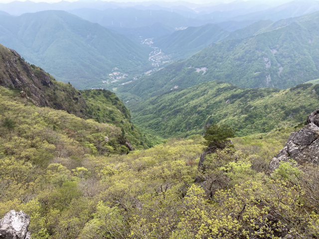재약산 정상 못미쳐 오른 바위에서 본 표충사 골짜기.초록의 짙기로 등고선을 가늠할 수 있다.