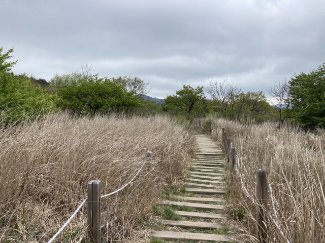 천황재에서 주암삼거리 쪽으로 내려서는 길.