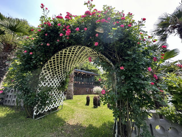 숨은 보석 같은 카페인 '별빛정원'. 안으로 들어갈수록 유럽풍의 아름다운 정원이 펼쳐진다.