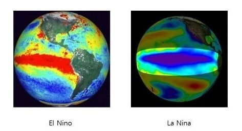 엘니뇨와 라니냐의 지구 해수면 온도 분포. 왼쪽 엘니뇨 때는 동태평양 페루 앞바다에서부터 수온이 올라 붉은색으로 변했고 오른쪽 라니냐에서는 동태평양 수온이 내려가 푸른색으로 표시돼 있다.