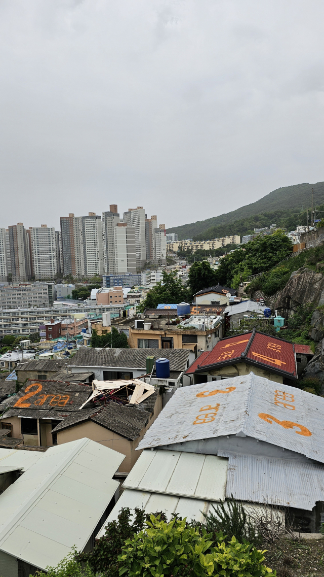 전시가 열리는 '월하마을' 빈집들의 지붕 위에 '에어리어' 넘버가 표시되어 있다. 오금아 기자