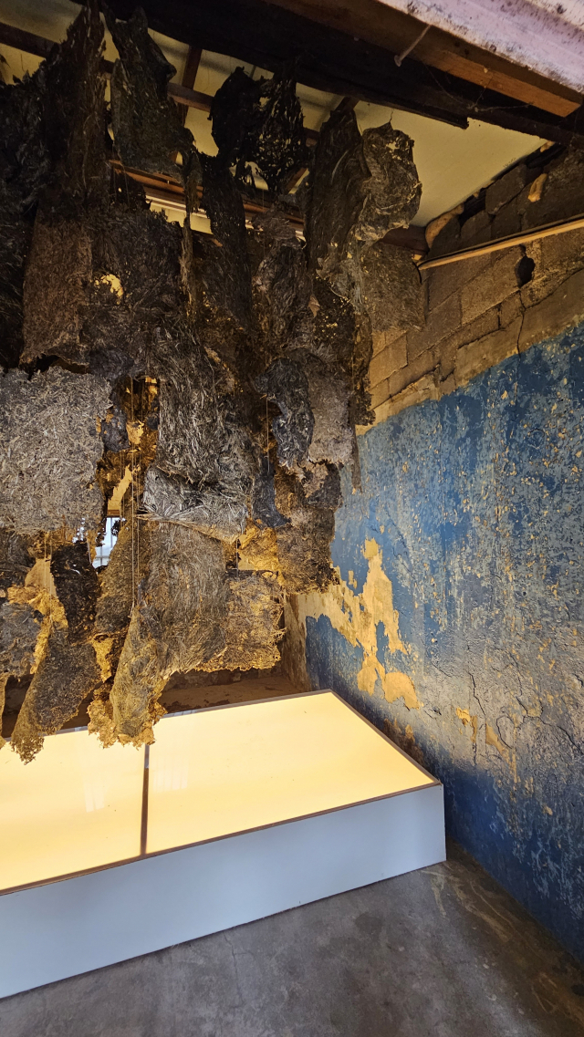 어누리 작가의 작품은 전포동의 식물을 재료로 사용했다. 오금아 기자