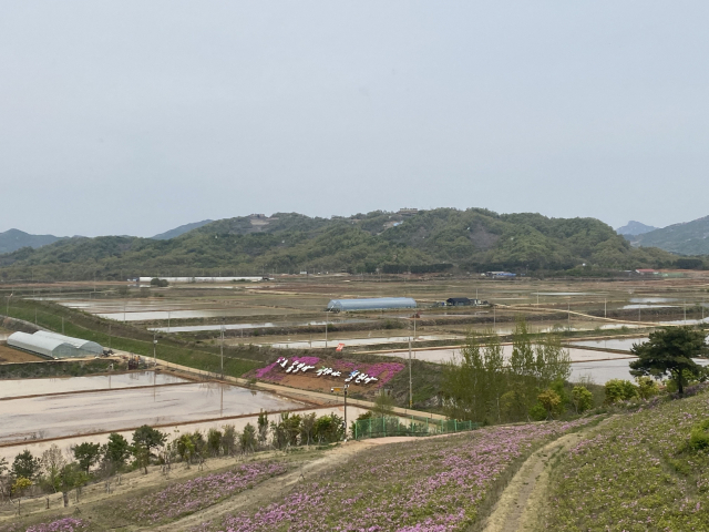 백마고지 전적지 정상에서 바라본 백마고지. 디지털철원문화대전 제공