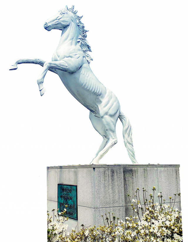 강원도 철원군 백마고지 전적지 광장에 선 백마상.