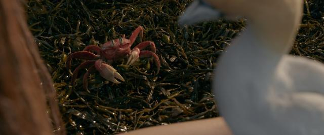 영화 ‘인어공주’. 월트디즈니컴퍼니 코리아 제공