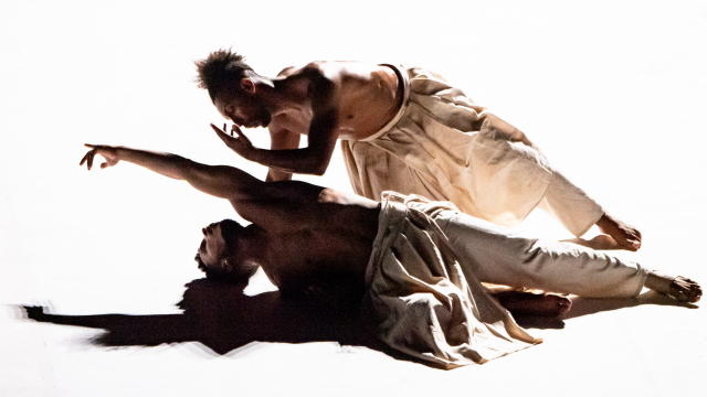 제19회 부산국제무용제(BIDF) 특별 초청 공연으로 6월 4일 오후 3시 영화의전당 하늘연극장에서 공연될 프랑스 에르베쿠비무용단의 '낮이 밤에 빚진 것'. BIDF 제공