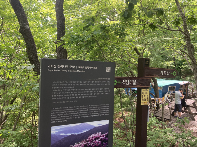 철쭉나무 군락지에 도착했다. 간이매점도 있다.