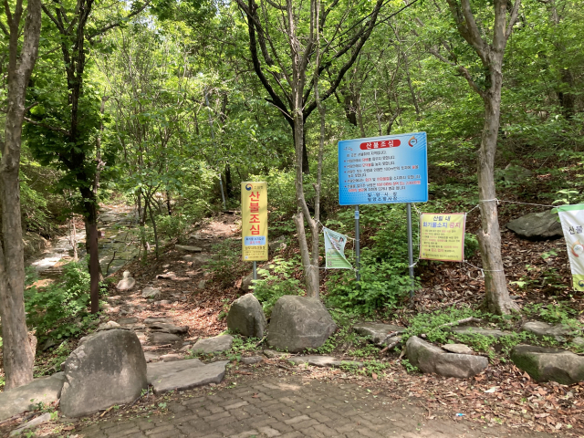 주자창 끄트머리에서 가지산 산행을 시작한다.