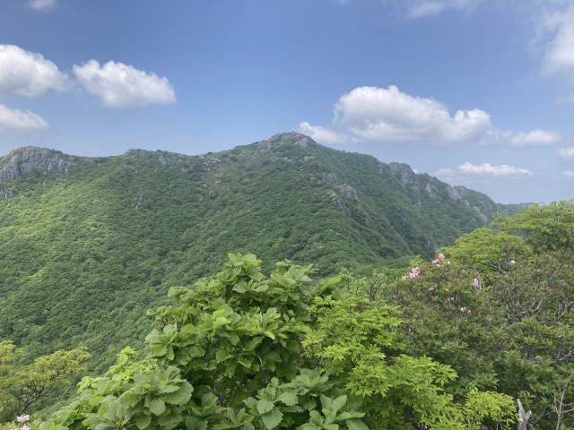 중봉에서 본 가지산 정상.