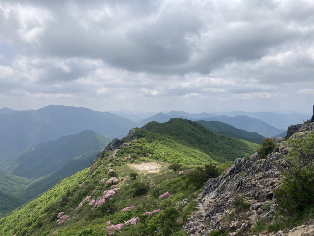 가지산 정상에서 운문산으로 가능 능선. 잘록한 안부에 헬기장이 있다.