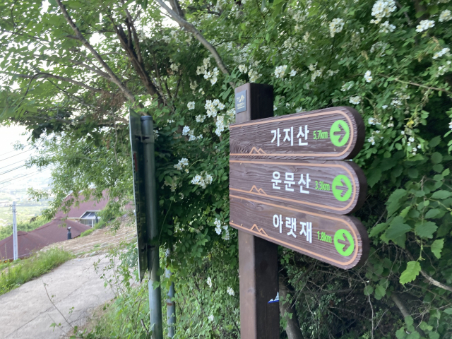 출발 지점으로 정확하게 원점회귀하며 영알8봉 등정을 마무리했다.