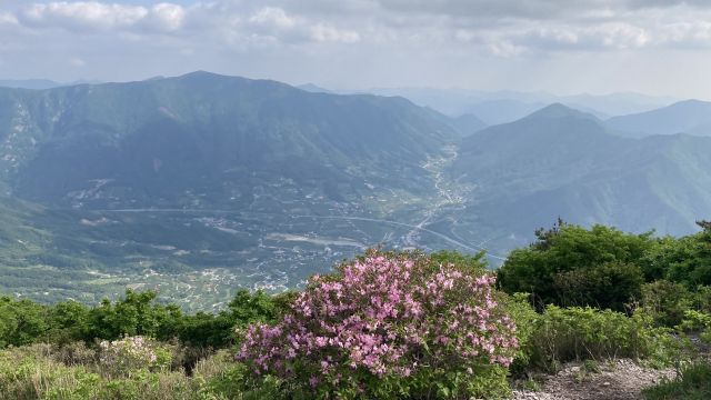 운문산 정상 조망. 멀리 도래재 올라가는 길이 아득하다.