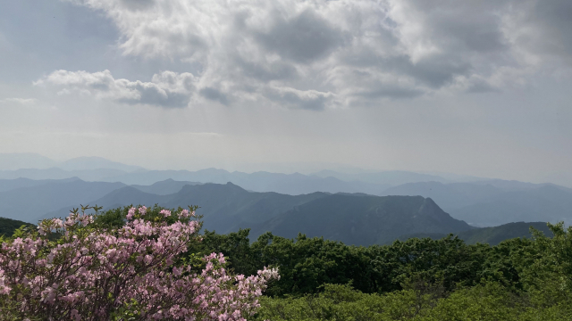 운문산 정상에서 본 억산 쪽 풍경. 가지 못한 길.