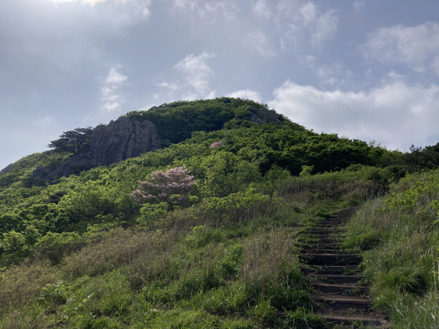 목재 계단에서 본 정상 부근. 당장은 정상이 어딘지 가늠할 수 없다.