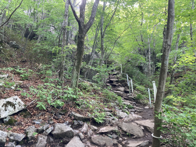 능선 입구 큰 바위를 우회하는 길이다. 꽤 가파르다.