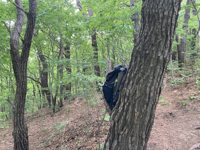 매미처럼 나무에 걸쳐놓은 배낭도 있다.