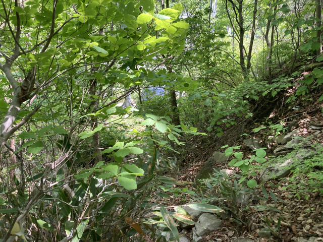 차 소리가 들리더니 이내 도로와 만난다.