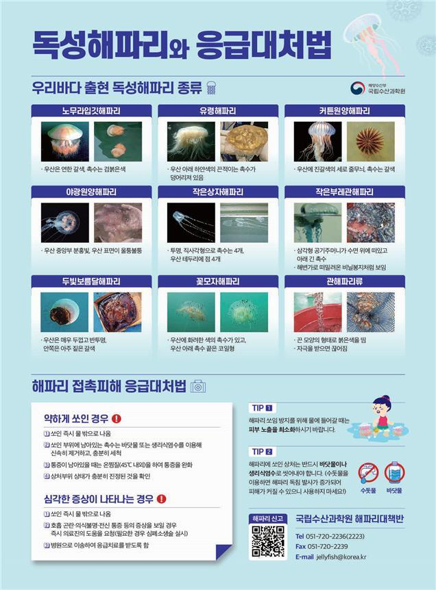 홍보 리플렛(독성해파리와 응급대처법). 해수부 제공