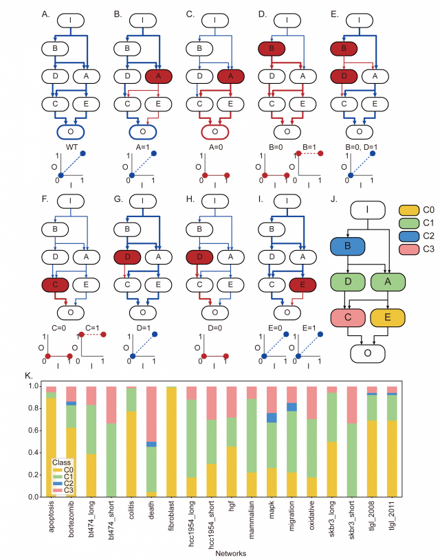 그림 . 유전자 조절 네트워크의 입출력 관계. 조광현 교수 연구팀은 유전자 돌연변이가 유전자 조절 네트워크의 입출력 관계에 미치는 영향을 시뮬레이션 분석하여 유전자들을 총 4개의 유형으로 분류하였다(그림 A-J). 그리고 암 관련 유전자 조절 네트워크 18개의 유전자들을 분석하여 각 네트워크를 구성하는 절반 이상의 유전자들이 돌연변이가 발생하였을 때 적절한 제어를 통해 가역화가 가능한 것을 확인했다(그림 K). KAIST 제공