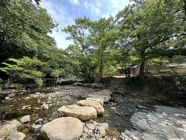 옥산서원 앞을 흐르는 자계천. 하마비에서 말을 내려 징검다리를 건너면 옥산서원의 정문에 이른다.