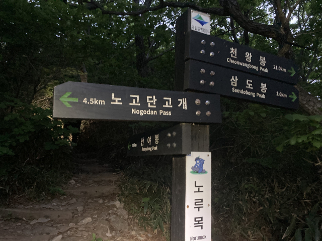 반야봉 갈림길인 노루목이다. 반야봉은 왕복 2km라 오르지 않았다.