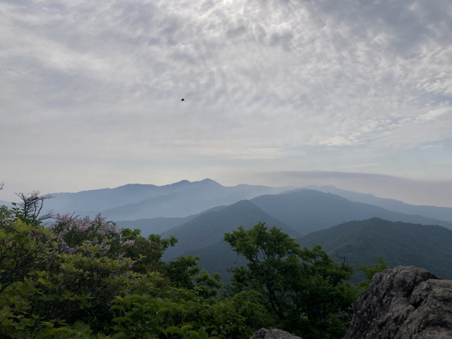 형제봉에서 바라본 천왕봉 능선. 풍뎅이 한 마리가 끼어들었다.