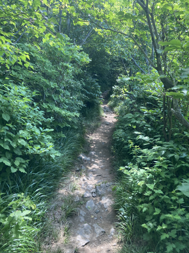 벽소령대피소를 출발하자마자 평지 오솔길이 제법 이어진다.