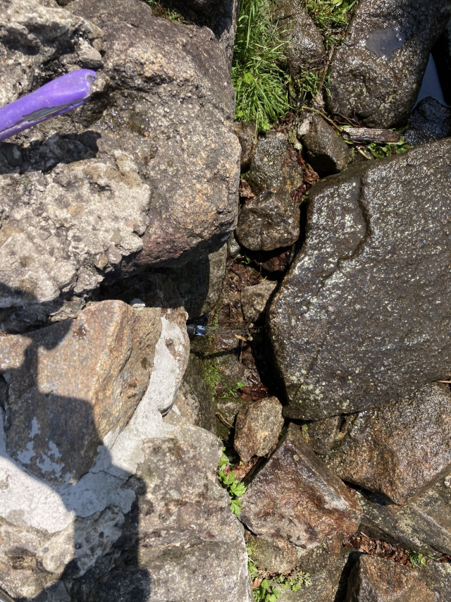 누구나 화전민의 무덤을 향해 조아려야 하는 선비샘.