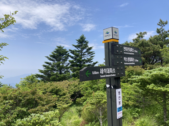 낙남정맥 갈림길인 영신봉을 지난다. 영신봉은 출입금지돼 있었다.
