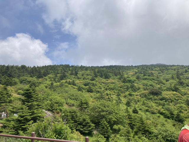 숲으로 천이하고 있는 세석평전. 샘은 대피소 아래 20여 m 지점에 있었으나 지쳐서 도무지 갈 수가 없었다.