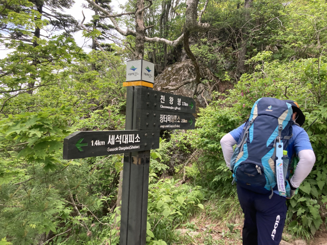 오르내림이 심한 구간이다. 장터목까지 긴장을 늦출 수 없다.