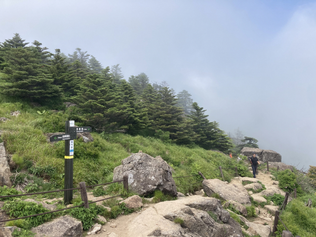 제석봉을 지난다. 고사목은 점점 없어지고 있다.