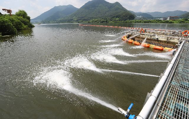 녹조 등 조류 유입을 막기 위해 경남 양산 물금취수장 살수시설이 가동되고 있는 모습. 부산일보DB
