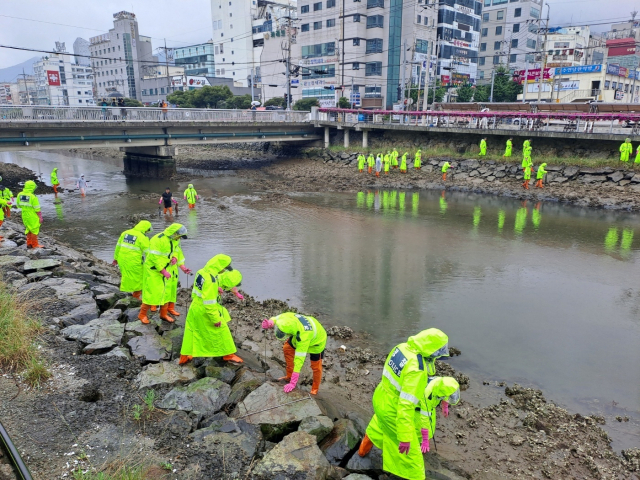 경남 거제시에서 20~30대 친부모가 생후 5일된 영아를 살해해 고현천에 유기했다는 사실을 확인한 경남경찰청은이 피해 영아 시신 수습을 위해 70여 명의 인력을 투입했다. 경남경찰청 제공