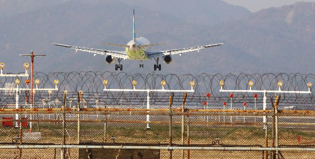 부산 김해국제공항에 비행기가 착륙하고 있다. 부산일보DB