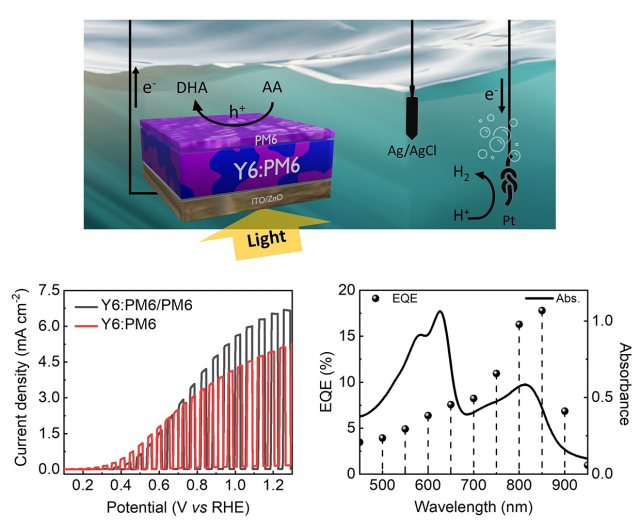 고분자(PM6)층이 도입된 유기(Y6:PM6) 광산화전극이 빛을 받아 구동하여 수소를 생산하는 모식도(위), 고분자(PM6)층을 도입하여 증가된 광전류밀도(왼쪽-아래), 근적외선 영역(750~900 nm)에서 구동하는 광전기화학 소자(오른쪽-아래)