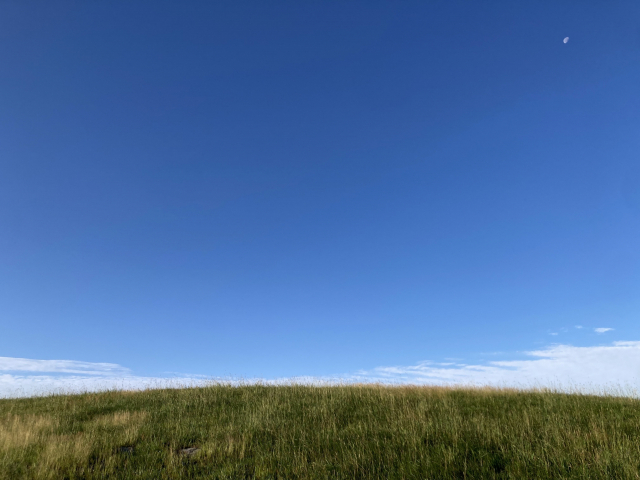 하늘과 맞닿은 초원