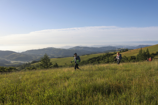 멀리 보이는 풍력발전단지.