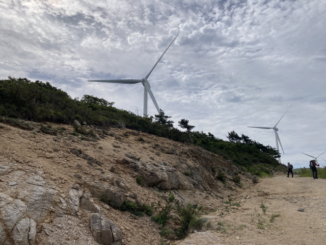 임도를 개설하느라 파헤쳐진 백두대간.