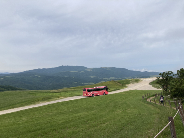 대관령 목장에서 운영하는 셔틀버스.