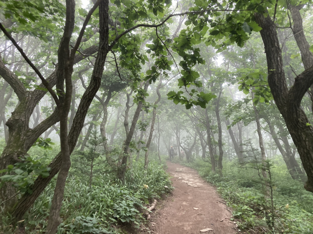마음이 편안해지는 목장코스.